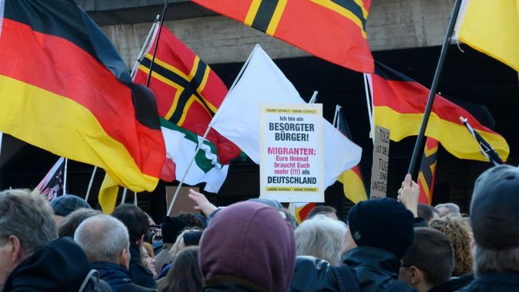 Des sympathisants d'extrême droite manifestent, le 9 janvier 2016 à Cologne  [Roberto Pfeil / AFP]