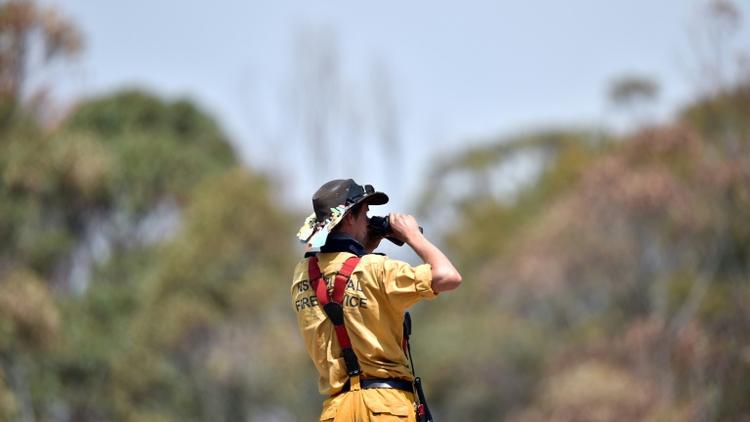 Un pompier surveille l'avancée des incendies dans la région de Penrose, en Nouvelles-Galles du Sud, en Australie, le 10 janvier 2020 [SAEED KHAN / AFP]