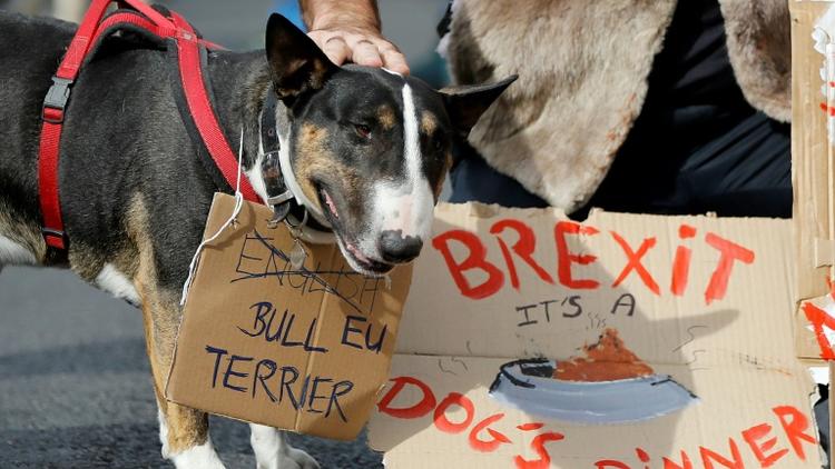 Des propriétaires de chiens et leur animaux domestiques ont manifesté le 7 octobre 2018 à Londres contre le Brexit [Tolga AKMEN / AFP]