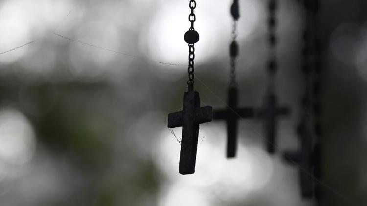 Des personnalités lancent un appel à la création d'une commission d'enquête sur les actes de pédophilie dans l'Eglise catholique en France  [DAMIEN MEYER / AFP/Archives]