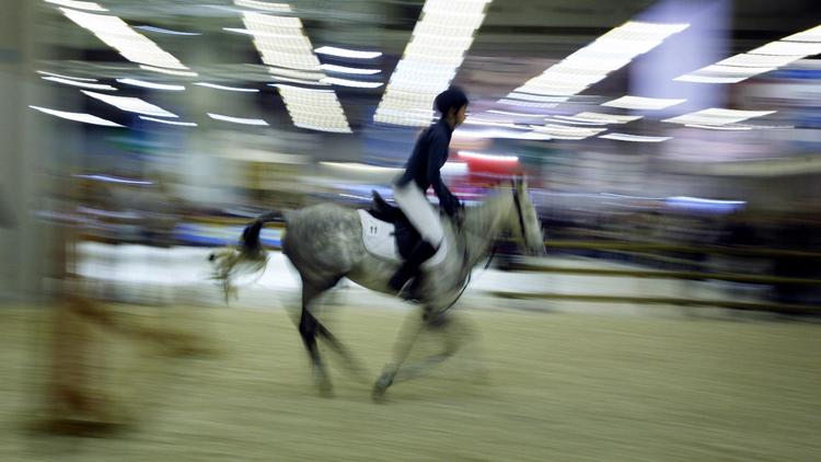 Un cavalier fait une démonstration au Salon du cheval, le 1er décembre 2007 à Paris  [Guillaume Baptiste / AFP/Archives]