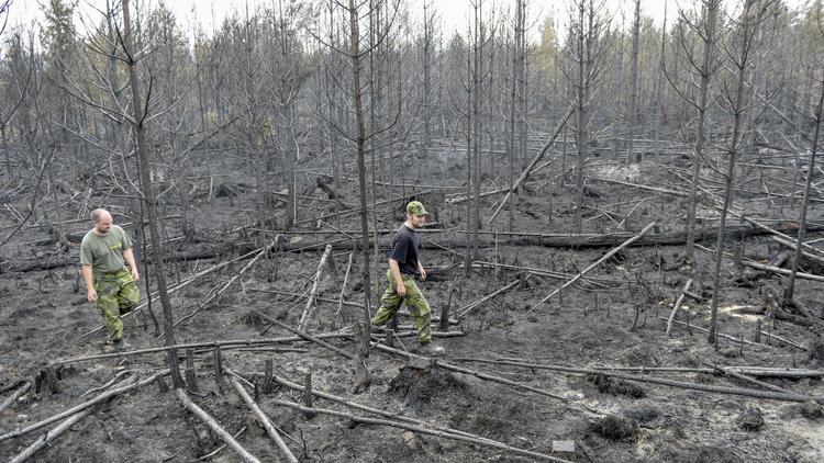 Les feux de forêt ont fait rage dans le centre de la Suède, près de Seglingsberg le 6 août 2014 [Maja Suslin / Tt News Agency/AFP]