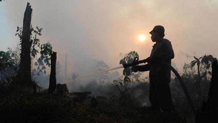 Un employé d'une concession d'huile de palme éteint le feu dans une forêt de la province de Riau, le 29 juin 2013 en Indonésie [Romeo Gacad / AFP/Archives]
