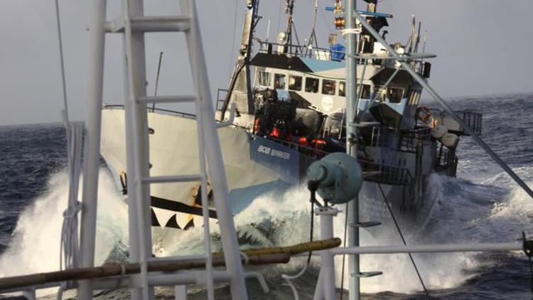 Un bateau de l'organisation écologique Sea Shepherd approche un navire de recherche japonais dans l'océan Austral le 2 mars 2014 [ / Institute of Cetacean Research/AFP/Archives]