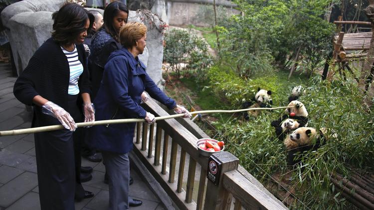 La Première dame des États-Unis, Michelle Obama (g) et sa mère Marian Robinson (d) donnent des morceaux de pommes à des pandas géants, lors d'une visite dans une réserve du sud-ouest de la Chine, le 26 mars 2014 [Petar Kujundzic / POOL/AFP]