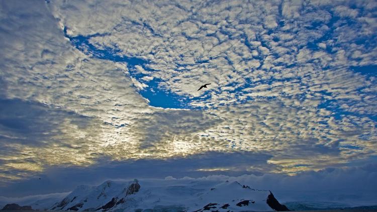 Les couleurs froides et puissantes de l'Antarctique, vues depuis le brise-glace brésilien Ary Rongel, le 4 mars 2014 [Vanderlei Almeida / AFP/Archives]