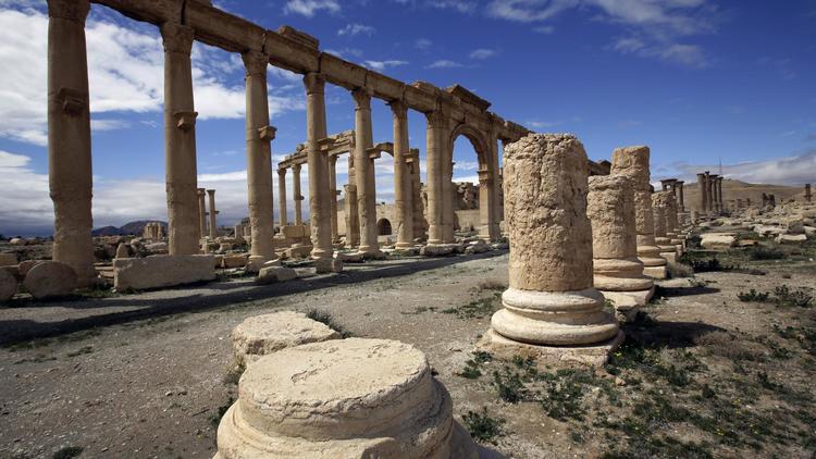 Une partie de l'ancienne oasis de Palmyre, à 215 km au nord-est de Damas, désertée par les touristes, le 14 mars 2014 [Joseph Eid / AFP]