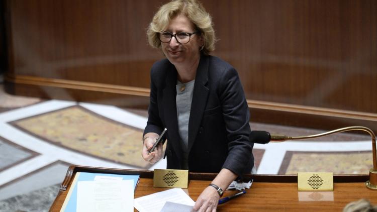 La ministre de l'Enseignement supérieur Geneviève Fioraso, le 16 juillet 2013 à l'Assemblée nationale [Martin Bureau / AFP/Archives]