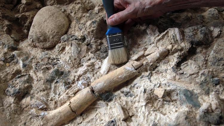 Une paléontologue travaille sur le site préhistorique de Tautavel, le 16 juillet 2013 [Raymond Roig / AFP]