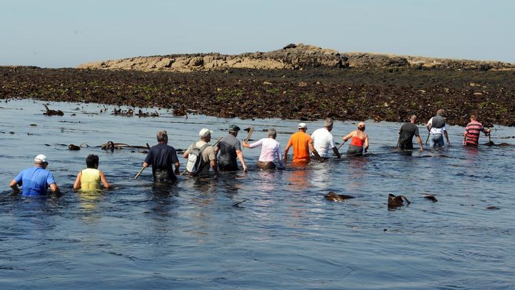 Des randonneurs traversent la mer de l'îlot de Triélen à l'île de Molène le 22 août 2013, dans le finistère [Fred Tanneau / AFP]