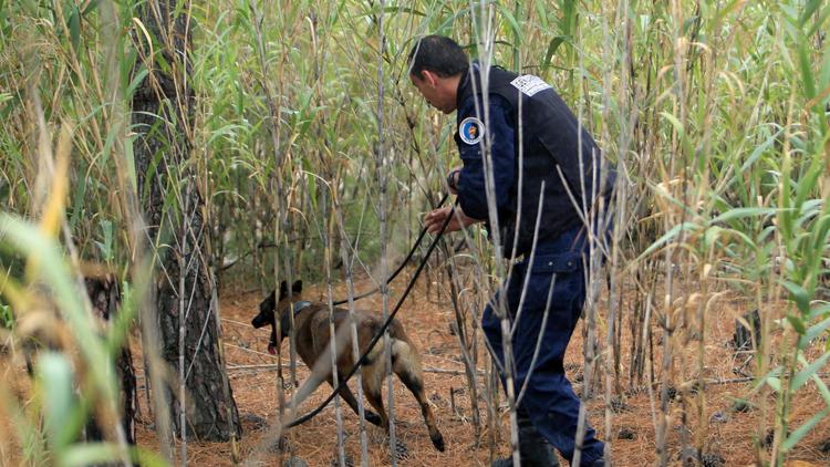 Un policier et son chien à la recherche des corps de Marie-José et Allison Benitez le 10 septembre 2013 à Leucate [Raymond Roig / AFP]