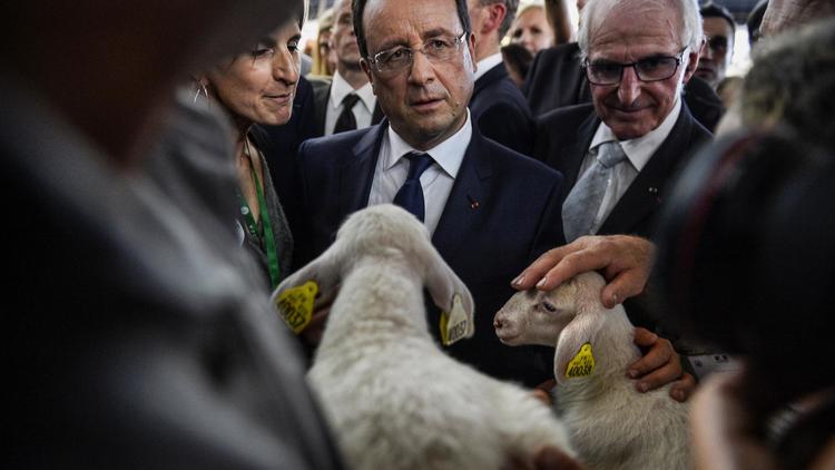 Le président François Hollande en déplacement au Sommet de l'élevage à Cournon-d'Auvergne, le 2 octobre 2013  [ / Pool/AFP]