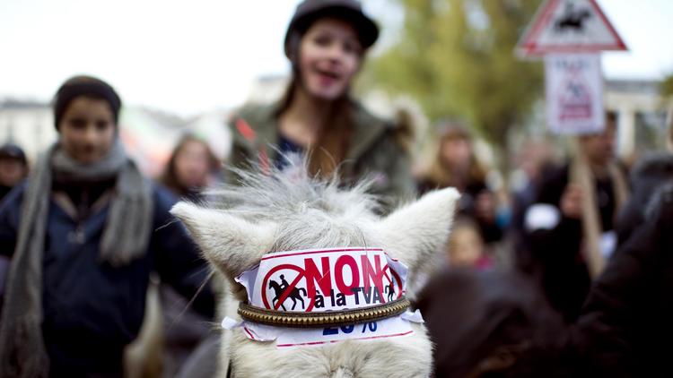 Manifestation de cavaliers le 16 novembre 2013 à Nantes contre la hausse de la TVA sur la filière équestre [Jean-Sébastien Evrard / AFP]