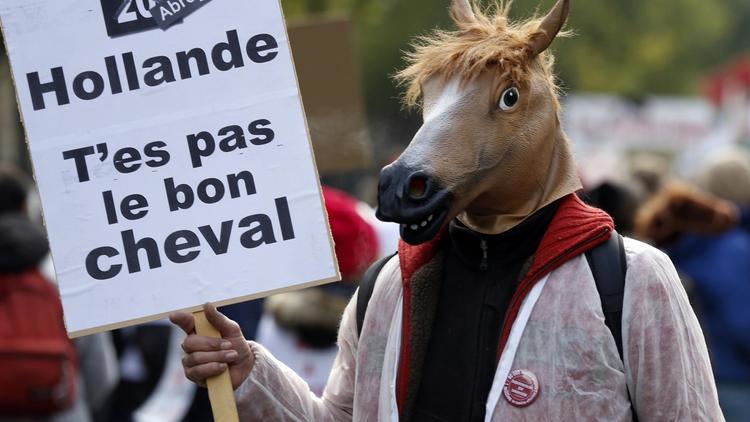 Un manifestant contre la hausse de la TVA sur les centres équestres, le 24 novembre 2013 à Paris [ / AFP]