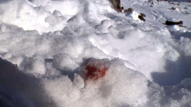 Capture d'écran datée du 3 janvier 2014 d'une vidéo AFPTV tournée le 31 décembre 2013, montrant le sang de Michael Schumacher sur les lieux de son accident de ski, à Meribel  [Guillaume Bonnet / AFP]