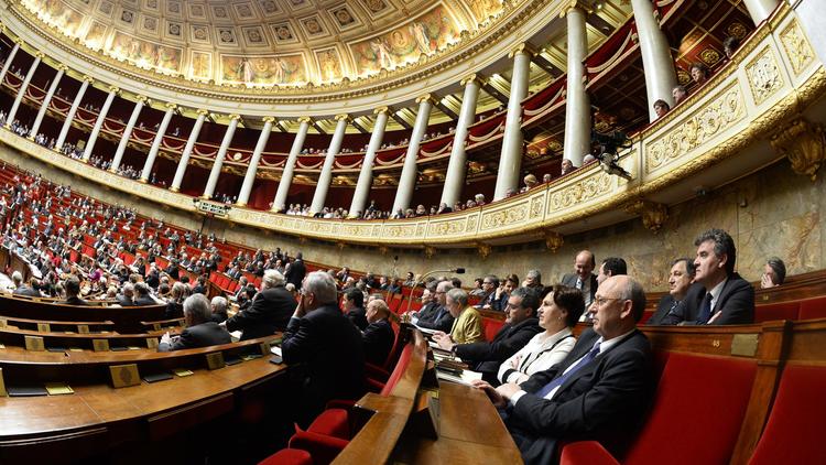 Vue générale de l'Assemblée nationale, le 29 janvier 2014 à Paris  [Lionel Bonaventure / AFP]