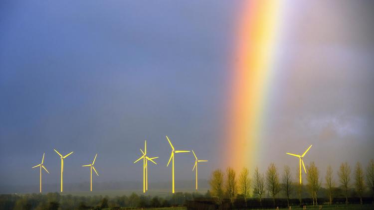 Un champ d'éoliennes à Lisbourg (Pas-de-Calais) [Philippe Huguen / AFP/Archives]