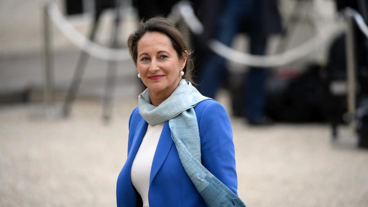 La ministre de l'Ecologie Ségolène Royal le 4 avril 2014 à l'Elysée, à Paris [Alain Jocard / AFP/Archives]