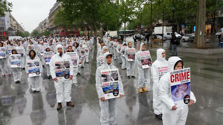 Manifestation contre la recherche scientifique sur les animaux à Paris, le 26 avril 2014 [Djilali Belaïd / AFP]