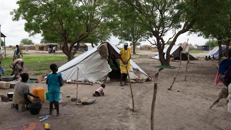 Famille de personnes déplacées à Lul, sur la rive occidentale du Nil, près de Malakal, au Soudan du Sud, le 30 mai 2014 [Charles Atiki Lomodong / AFP/Archives]