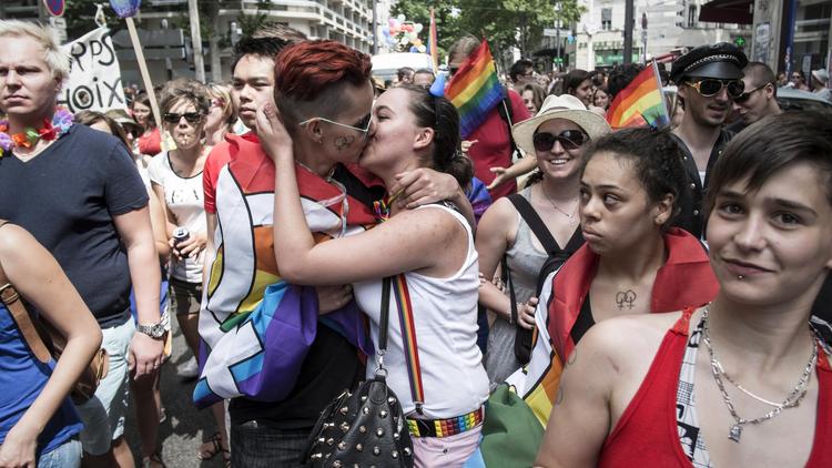 Le cortège de la 19e Gay Pride de Lyon, le 14 juin 2014 [Jean-Philippe Ksiazek / AFP]
