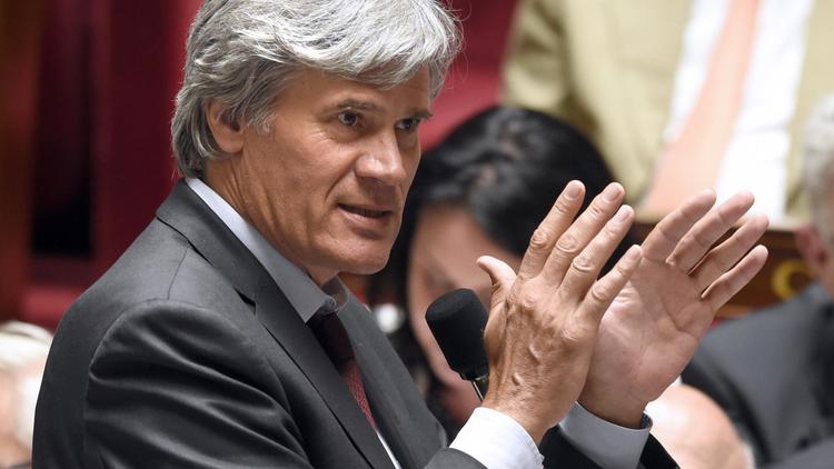 Le porte-parole du gouvernement Stéphane Le Foll, à l'Assemblée nationale, le 18 juin 2014, à Paris [Eric Feferberg / AFP]