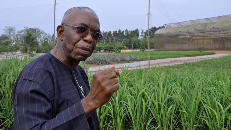 Le père Godfrey Nzamujo, directeur de la ferme bio Songhaï, à Porto-Novo, le 30 janvier 2014 [Charles Placide Tossou / AFP]
