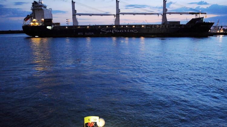 Des activistes de Greenpeace bloquent le cargo "Safmarine Sahara", accusé de transporter du bois illégal, dans le port de La Rochelle le 22 juin 2014 [Xavier Leoty / AFP]