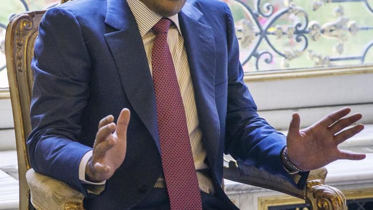 Le nouvel émir du Qatar Tamim Ben Hamad Al-Thani, le 24 juin 2014 à Paris [Etienne Laurent / Pool/AFP]