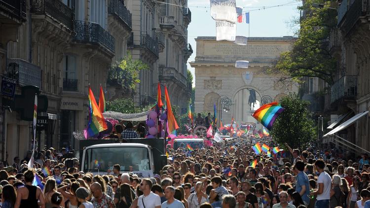Participants à la vingtième Gay Pride, le 12 juillet 2014 à Montpellier [Sylvain Thomas / AFP]