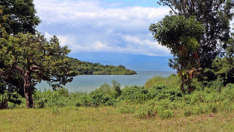 L'île rwandaise d'Iwawa où se trouve un "Centre de réinsertion et de développement des compétences", en mai 2014 [Stephanie Aglietti / AFP]