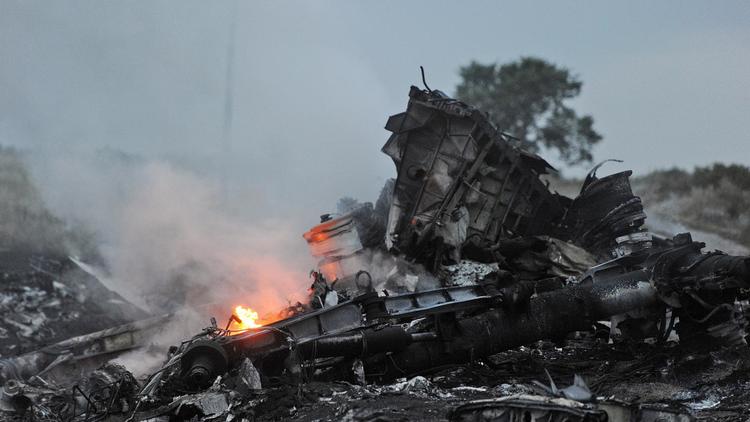 La carcasse encore fumante de l'avion malaisien qui s'est écrasé le 17 juillet 2014 près de Shaktarsk en Ukraine  [Dominique Faget / AFP]