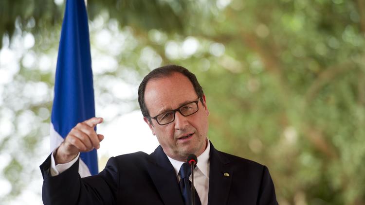 Le président de la République, François Hollande, le 19 juillet 2014 lors d'une visite à Niamey, au Niger [Alain Jocard / AFP/Archives]