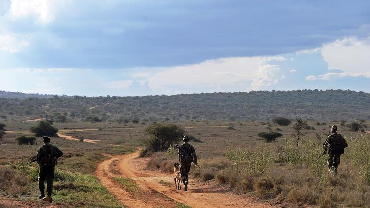 Des membres de l'unité d'intervention armée de la réserve d'Ol Jogi, au nord de Nairobi, en patrouille le 6 août 2014 [Tony Karumba / AFP]
