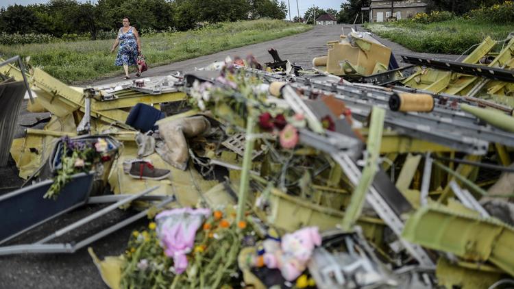 Des fleurs au milieu des débris de l'avion malaisien le 20 juillet 2014 près de Grabove dans la région de Donetsk [Bulent Kilic / AFP]