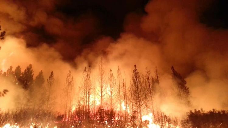 Cette photo publiée le 23 août 2013 par les services forestiers américains montre l'incendie qui ravage les abords du parc naturel de Yosemite, en Californie [- / Services forestiers américains/AFP]