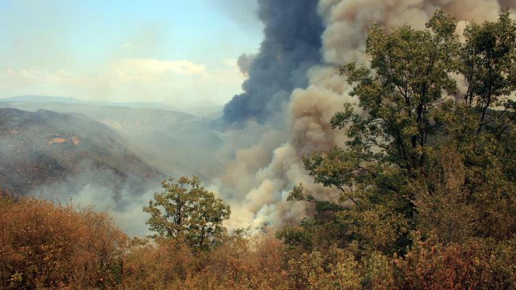 Le "Rim Fire" ravage une zone boisée près du parc de Yosemite, en Californie, le 23 août 2013 [ / US Forest Service/AFP/Archives]
