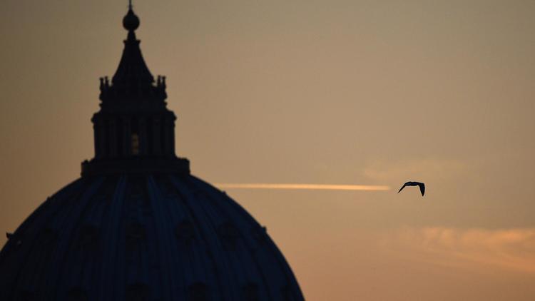 Le toit de la Basilique Saint-Pierre au Vatican, le 9 novembre 2012 [Gabriel Bouys / AFP]