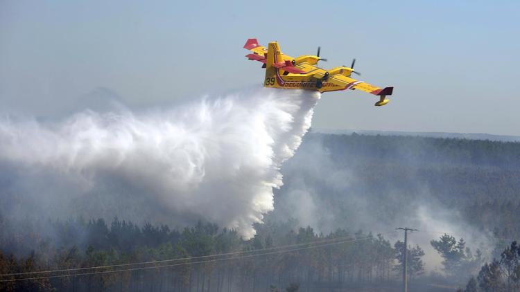 L'incendie de forêt près de la station balnéaire de Lacanau (Gironde), qui est sous contrôle depuis vendredi après avoir détruit au moins 650 hectares, continue de maintenir la présence d'importants moyens pour éviter toute reprise du feu, a indiqué samedi le Codis 33.[AFP]