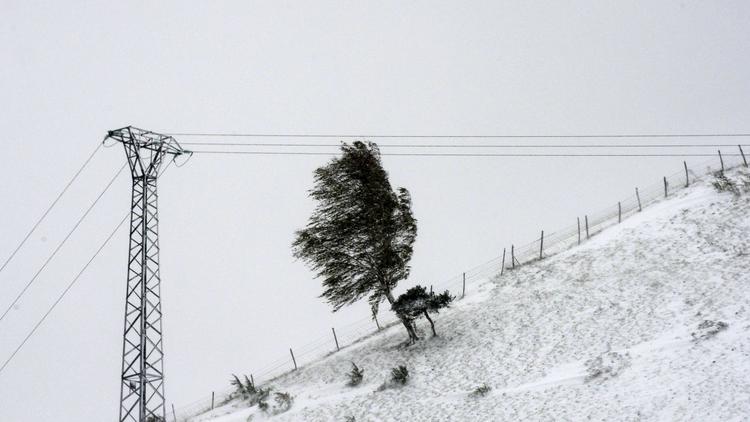Chute de neige ce week end dans la région de Grenoble [Jean-Pierre Clatot / AFP/Archives]