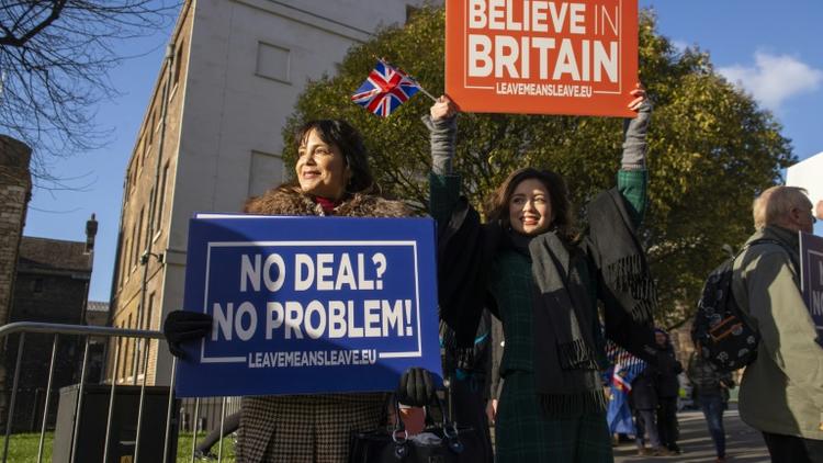 Des militantes brandissent des pancartes Pro-Brexit devant le Parlement le 8 janvier 2018 à Londres [Niklas HALLE'N / AFP]