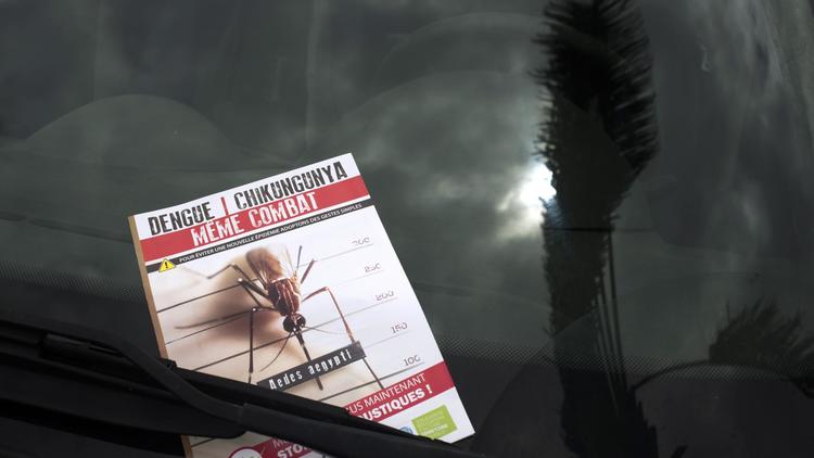 Un prospectus d'information sur le virus  chikungunya au Lamentin, près de Fort-de-France, en Martinique, le 10 juillet 2014 [Nicolas Derne / AFP/Archives]