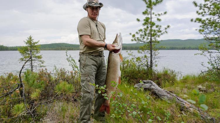 Vladimir Poutine pose après une partie de pêche le 26 juillet 2013. Selon le Kremlin, ce brochet pesait 21 kilos (image d'illustration)