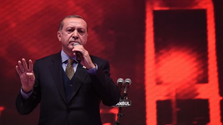 Le président turc Recep Tayyip Erdogan prononce un discours lors d'un rassemblement pour le "oui" au référendum constitutionnel turc, à Istanbul, le 12 avril 2017 [OZAN KOSE / AFP/Archives]