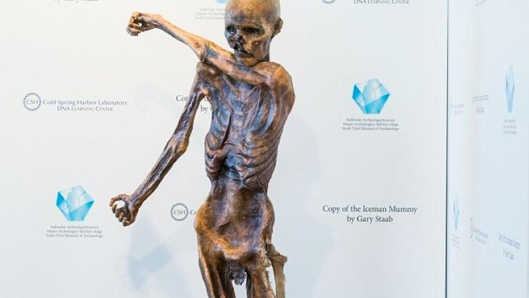Cette photographie fournie le 20 avril 2016 par le musée archéologique du Tyrol du sud à Bolzano, en Italie, montre Une réplique grandeur nature d'Ötzi, l'homme des glaces de 5.300 ans, dont le corps momifié a été trouvé dans les Alpes en 1991 [HAND OUT / foto-dpi.com/AFP]