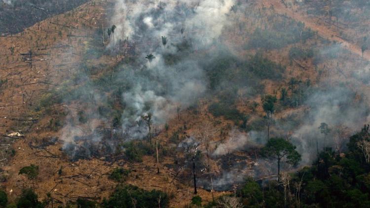 Des volutes de fumée s'échappent d'arbres de la forêt amazonienne, le 24 août 2019 près de Boca do Acre, dans l'ouest du Brésil [LULA SAMPAIO / AFP]