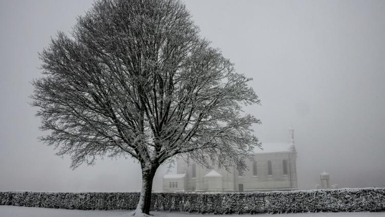 Un arbre sous la neige, le 23 janvier 2019, dans la nécropole nationale de Notre-Dame de Lorette, à Souchez (Pas-de-Calais) [DENIS CHARLET / AFP/Archives]