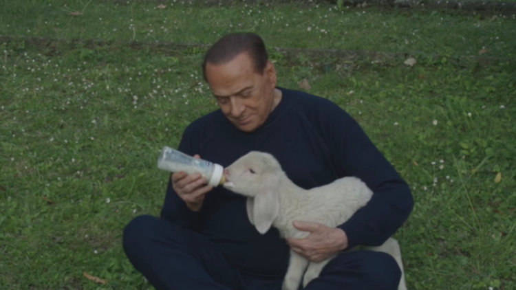 Silvio Berlusconi donne le biberon à un agneau pour une campagne anti-viande.