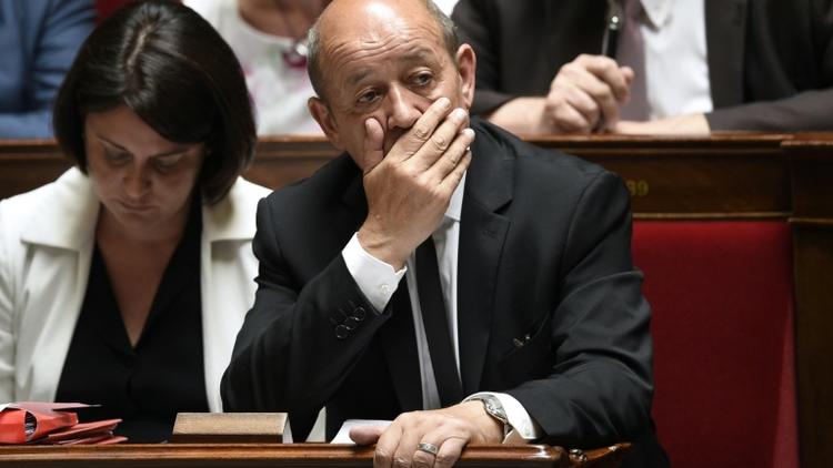 Jean-Yves Le Drian à l'Assemblée nationale le 29 juin 2015 [MARTIN BUREAU / AFP/Archives]