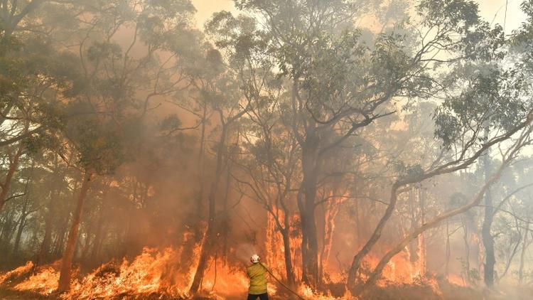 Un pompier luttant contre les incendies au nord de Sydney, le 10 décembre 2019 [SAEED KHAN / AFP]